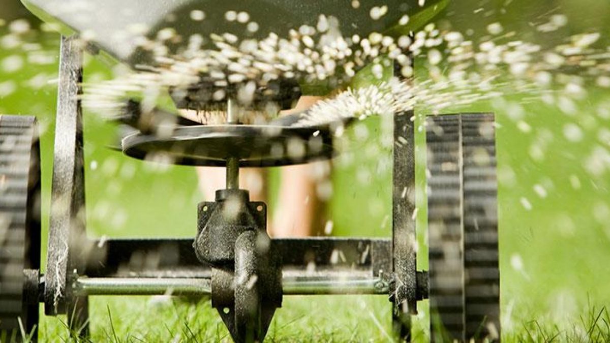 Professional lawn fertilization and weed control treatment being applied to Minnesota grass with specialized equipment